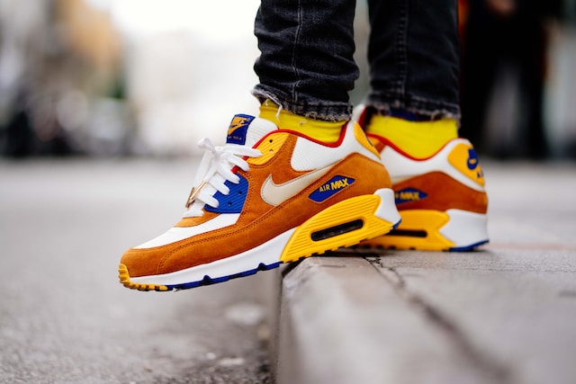 The Air Max shoe is considered an icon amongs sneaker fans